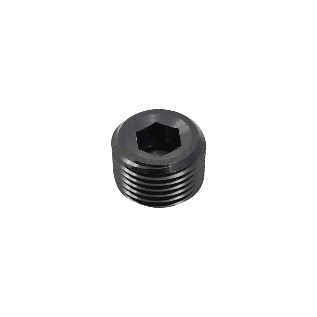 NPT Plugs